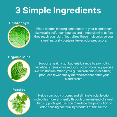 norm body deodorizer